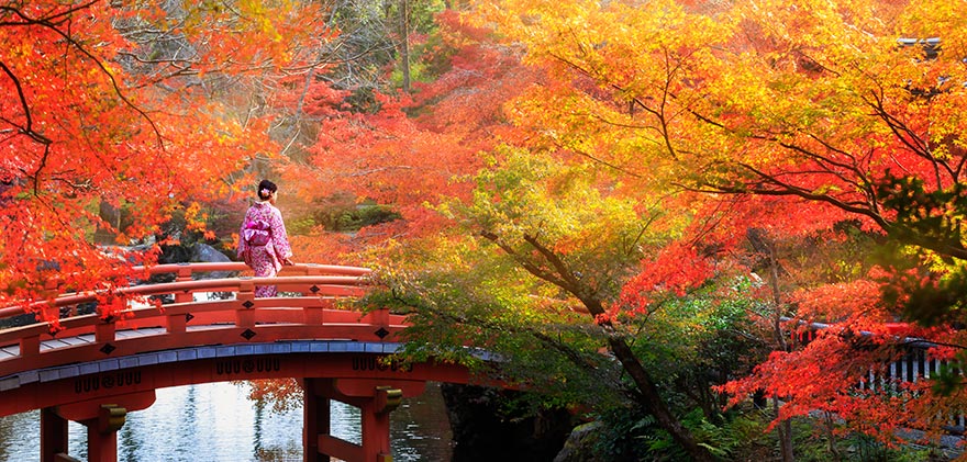 Höst i Japan