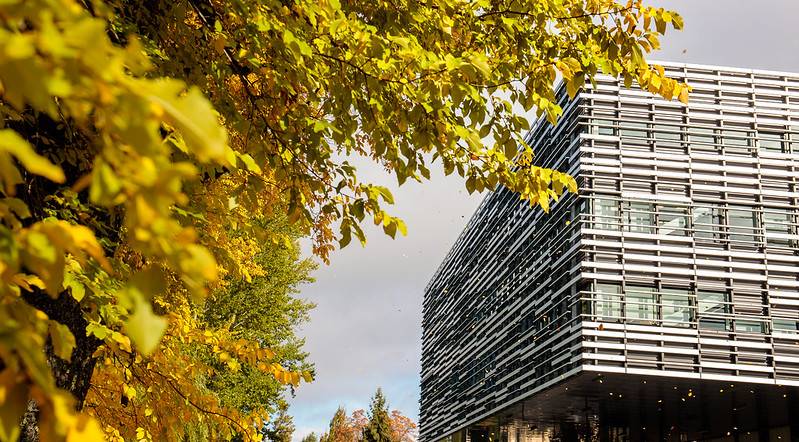 Images from Langara College